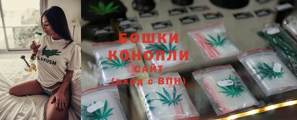 ПСИЛОЦИБИНОВЫЕ ГРИБЫ Арсеньев
