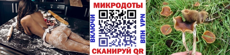 Галлюциногенные грибы ЛСД  Зубцов 